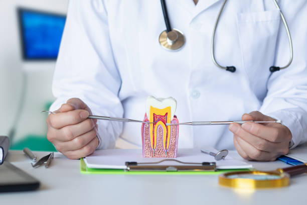 Best Emergency Dental Care for Trauma or Injury in South Browning, MT